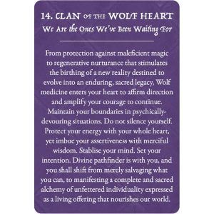 Earth Warriors Oracle - Pocket Purpose Edition - Ảnh 9