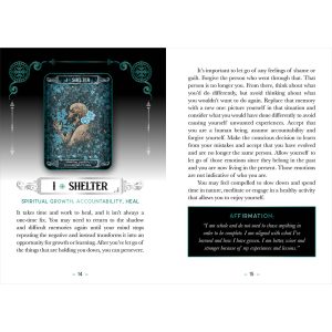 Earth and Bone Oracle - Ảnh 10