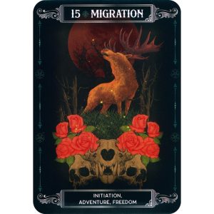 Earth and Bone Oracle - Ảnh 4