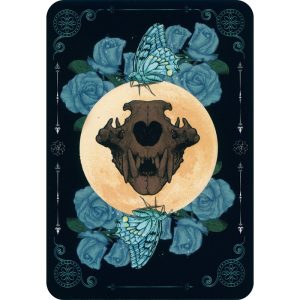 Earth and Bone Oracle - Ảnh 8