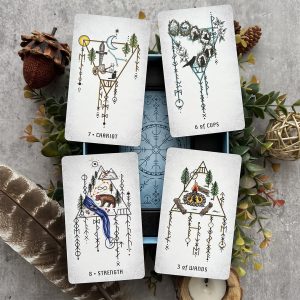 Elemental North Tarot - Ảnh 12