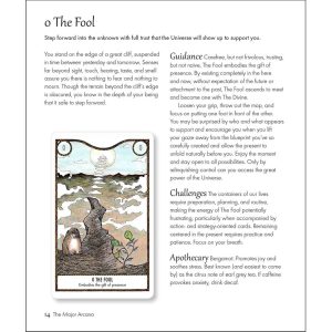 Elemental Power Tarot - Ảnh 10