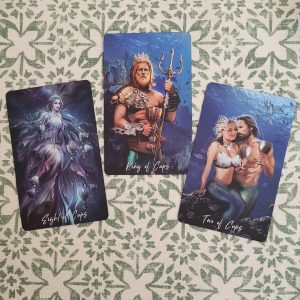 Elemental Wisdom Tarot - Ảnh 11