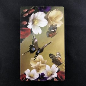 Elle Qui Oracle - Ảnh 12