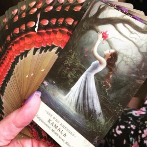Elle Qui Oracle - Ảnh 13