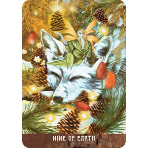 Enchanted Forhaxa Tarot - Ảnh 6