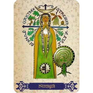 Enchanted Spell Oracle - Ảnh 4