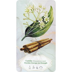 Essential Oils Healing Deck - Ảnh 4