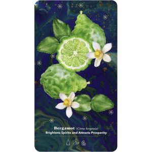 Essential Oils Healing Deck - Ảnh 5