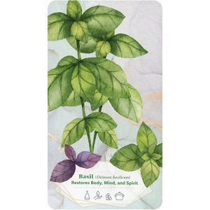 Essential Oils Healing Deck - Ảnh 6