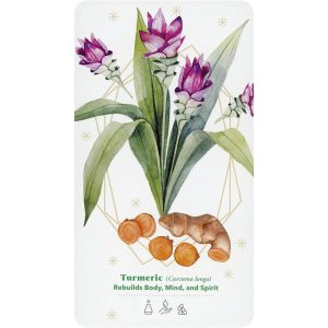 Essential Oils Healing Deck - Ảnh 7