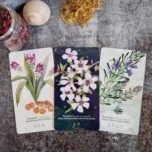 Essential Oils Healing Deck - Ảnh 8