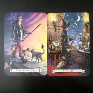 Everyday Witch Oracle - Ảnh 7
