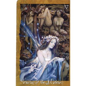 Faeries Oracle - Ảnh 8