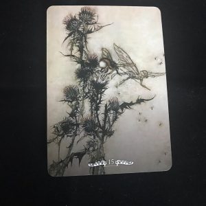 Fairy Oracle - Ảnh 6