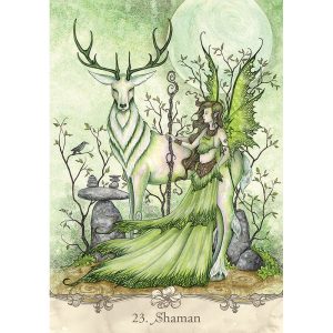 Fairy Wisdom Oracle - Ảnh 4