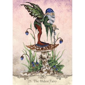 Fairy Wisdom Oracle - Ảnh 5