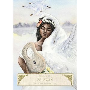 Fairytale Oracle - Ảnh 6