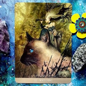 Barbieri Fantasy Cats Oracle - Ảnh 3