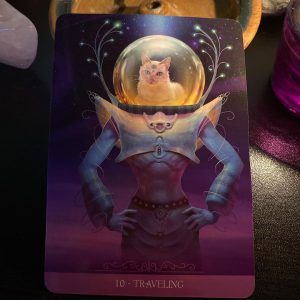 Barbieri Fantasy Cats Oracle - Ảnh 4