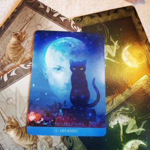 Barbieri Fantasy Cats Oracle - Ảnh 5