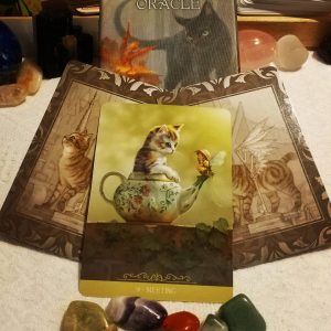 Barbieri Fantasy Cats Oracle - Ảnh 6