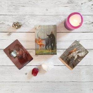 Barbieri Fantasy Cats Oracle - Ảnh 7