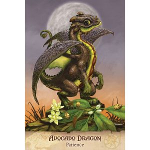 Field Guide To Garden Dragons - Ảnh 3