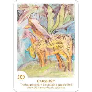 Findhorn Spirit Oracle Cards - Ảnh 3