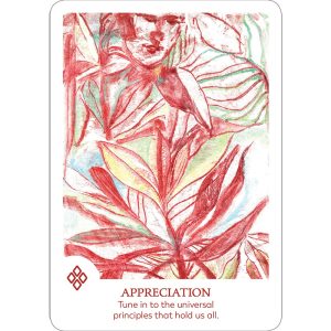 Findhorn Spirit Oracle Cards - Ảnh 5