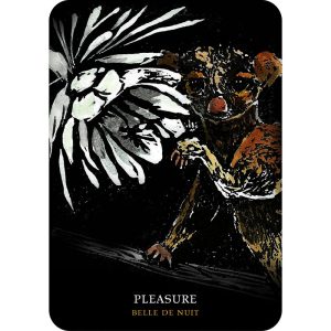 Flowers of the Night Oracle - Ảnh 10