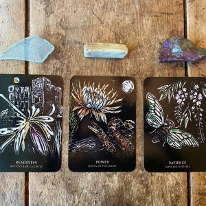 Flowers of the Night Oracle - Ảnh 14