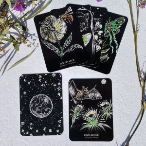 Flowers of the Night Oracle - Ảnh 15