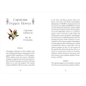 Flowerwise Oracle - Ảnh 6