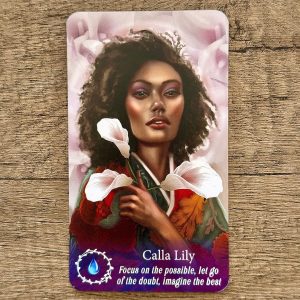 Flowerwise Oracle - Ảnh 8