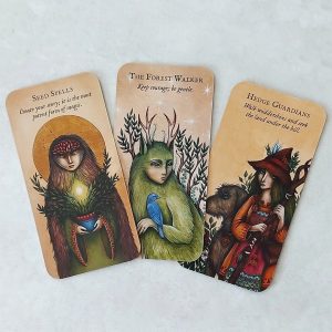 Forest Fae Cards - Ảnh 7