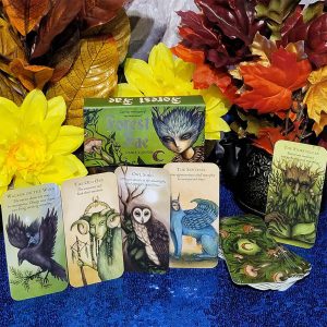 Forest Fae Cards - Ảnh 11