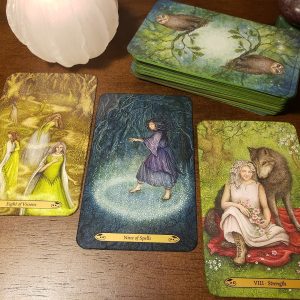 Forest of Enchantment Tarot - Ảnh 12