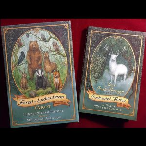 Forest of Enchantment Tarot - Ảnh 14