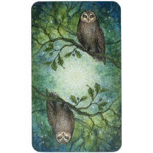 Forest of Enchantment Tarot - Ảnh 6