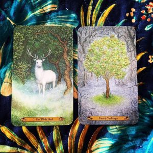 Forest of Enchantment Tarot - Ảnh 8