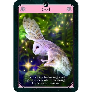 Fortune Oracle - Ảnh 4