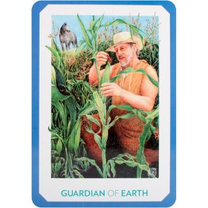 Gaian Tarot - Ảnh 10