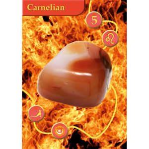 Gems Oracle Cards - Ảnh 4