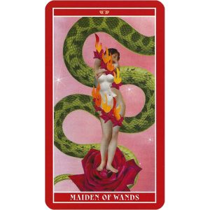 Goddess of Love Tarot - Ảnh 6