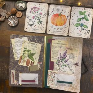 Green Witch Oracle - Ảnh 14
