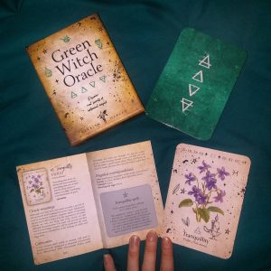 Green Witch Oracle - Ảnh 17