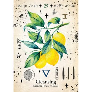 Green Witch Oracle - Ảnh 5
