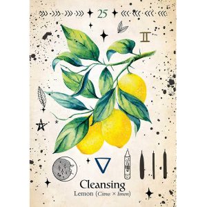 Green Witch Oracle - Ảnh 9