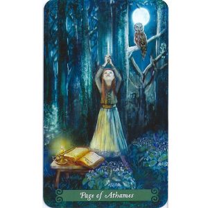 Green Witch Tarot - Ảnh 6